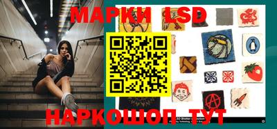 стафф Славгород