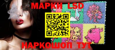 стафф Славгород