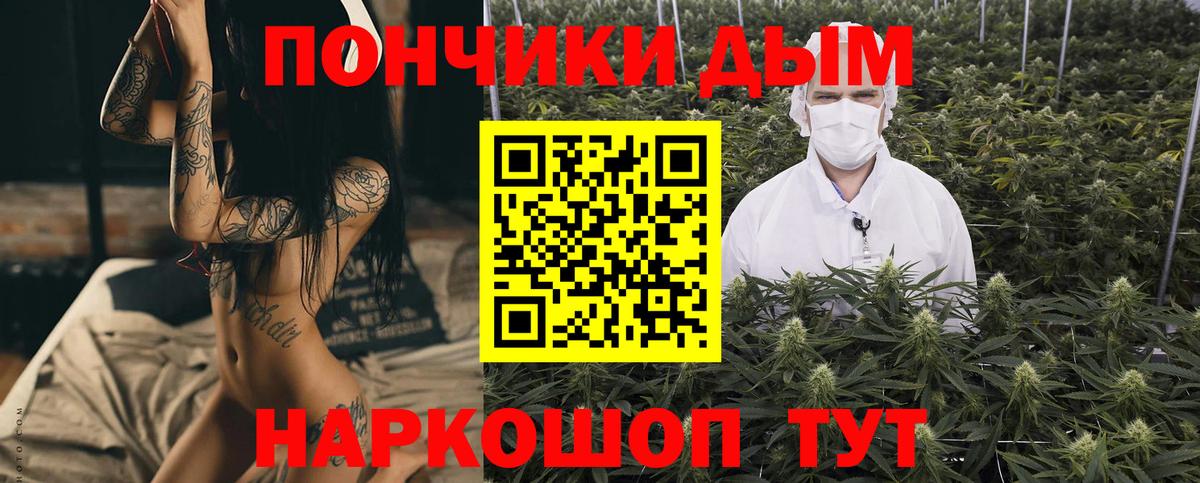 Бошки Шишки планчик Мончегорск